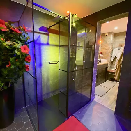High Standing! 200m2 Private Garden Jacuzzi Sun Bed & Interior * Антиб